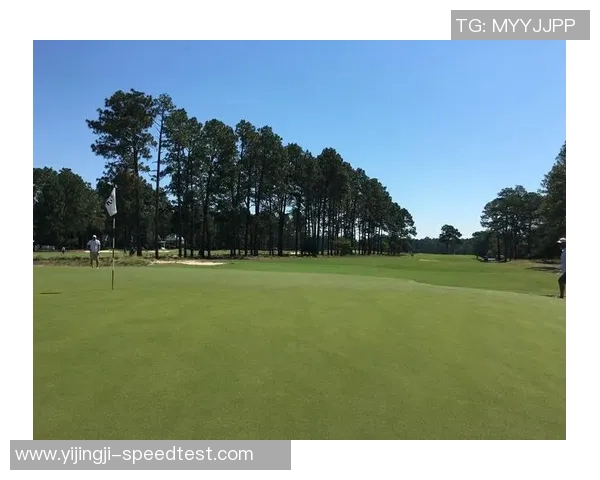 姚明君iy的篮球传奇与人生启示：从球场到生活的精彩旅程